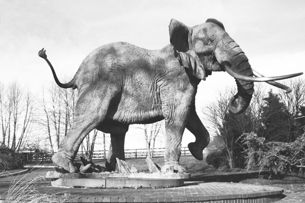 A bronze elephant sculpture at Cogi Farm.