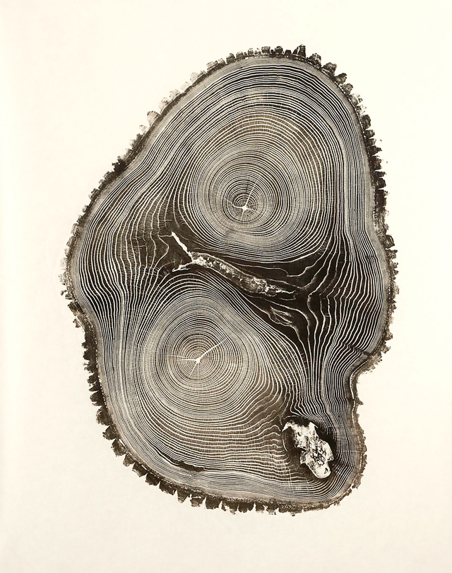 Woodcut relief art prints by American artist and sculptor Bryan Nash.