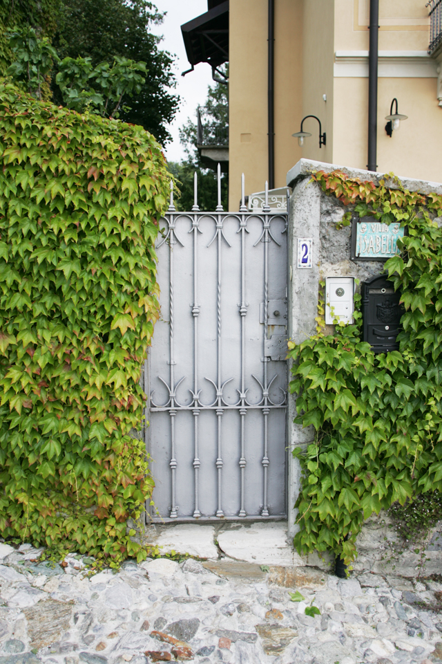 Italian painted grey garden door covered in ivy.