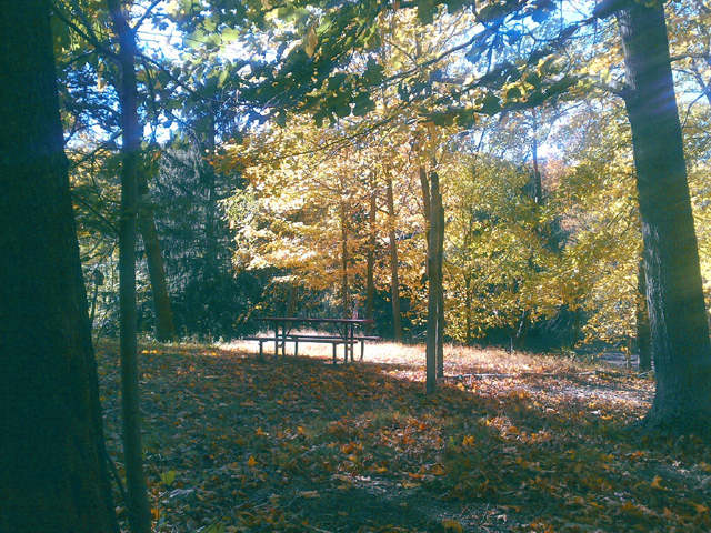 Nature scenic photo by the Bohmerian.